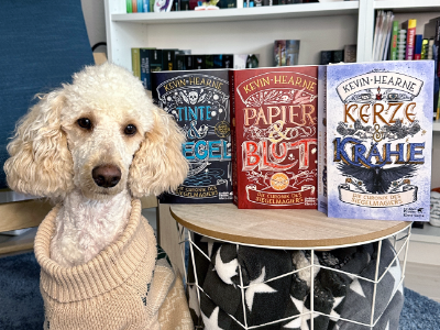 Die Chronik des Siegelmagiers – Reihen-Rezension